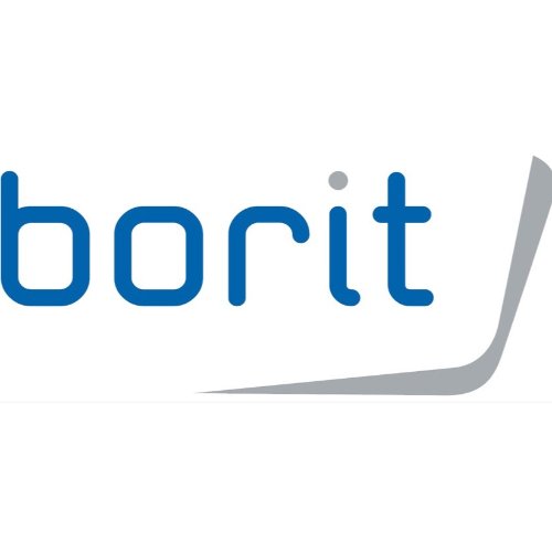 BoritNV